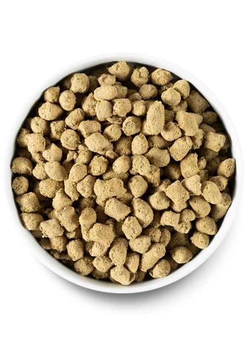 Open Farm Freeze-Dried Raw Morsels Pork Recipe For Dogs