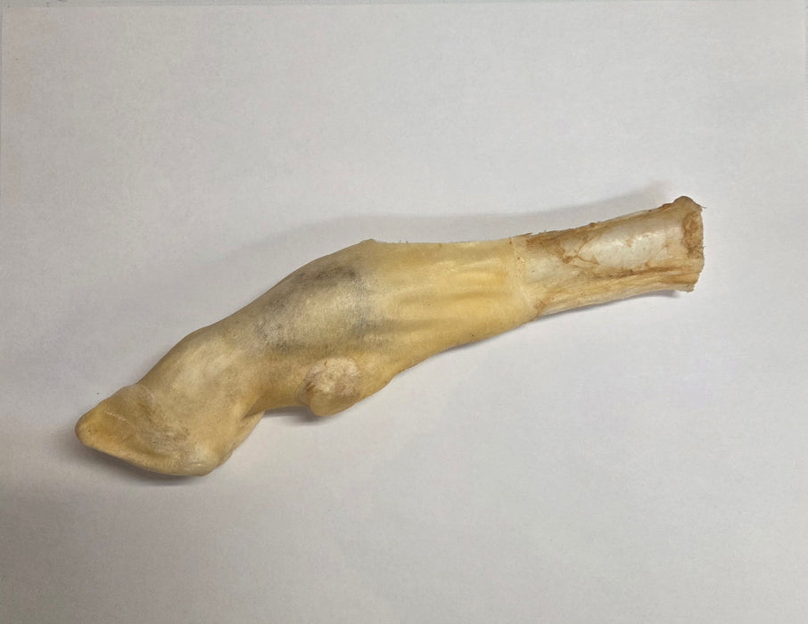 Lamb Feet