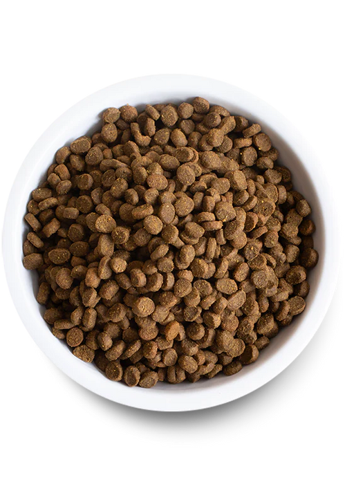 Open Farm Pasture Raised Lamb Grain-Free Cat Food