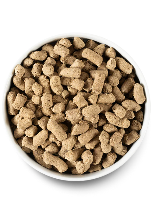 Open Farm Freeze-Dried Raw Morsels Lamb Recipe For Dogs