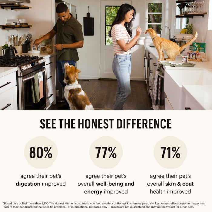 The Honest Kitchen Whole Food Clusters Puppy Whole Grain Chicken Dry Dog Food