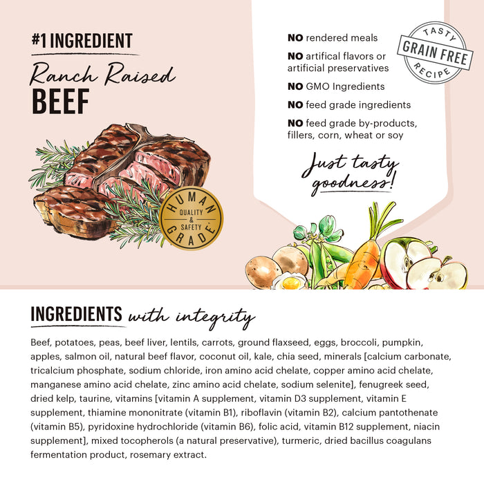 The Honest Kitchen Whole Food Clusters Grain Free Beef Dry Dog Food