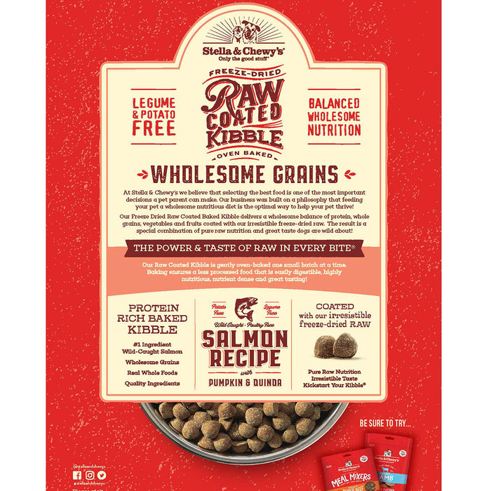 Stella & Chewy's Raw Coated Salmon & Wholesome Grains Recipe Dog Food