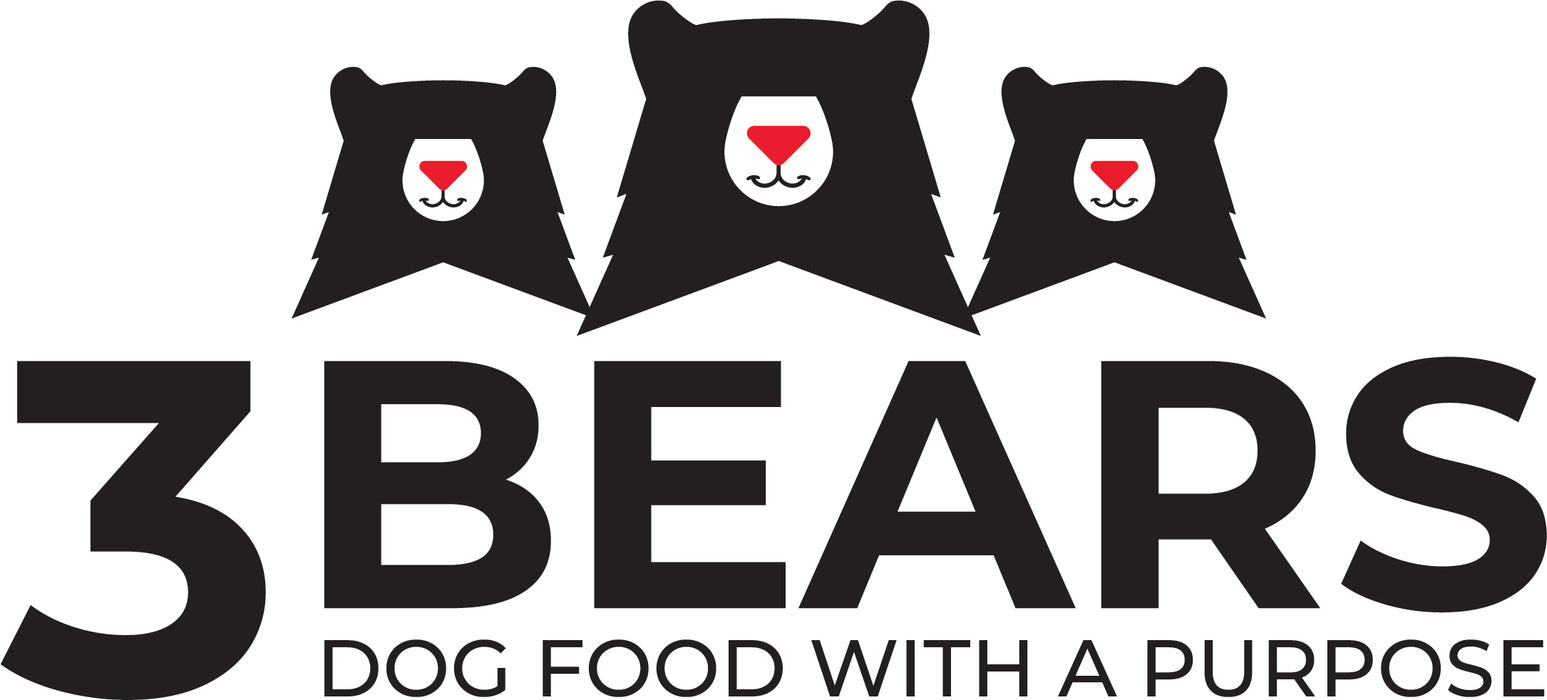 Grandma Lucy's 3 Bears Beef Dog Food