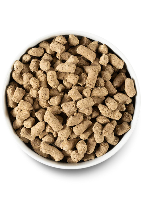 Open Farm Freeze-Dried Raw Morsels Beef Recipe For Dogs